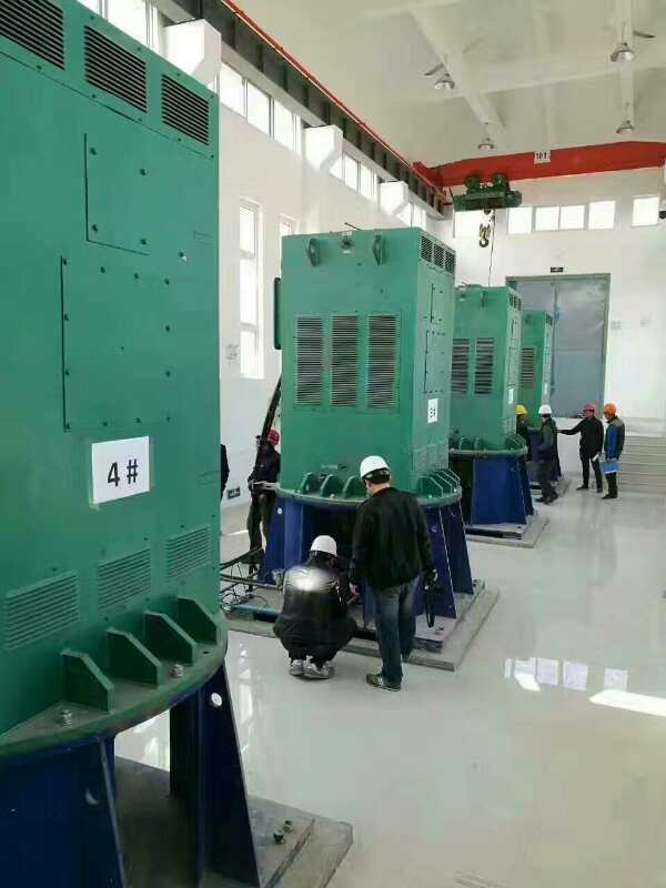 新华镇某污水处理厂使用我厂的立式高压电机安装现场