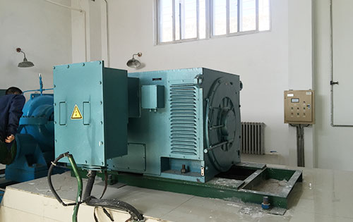 新华镇某水电站工程主水泵使用我公司高压电机一年质保