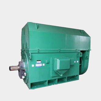 新华镇Y7104-4、4500KW方箱式高压电机标准